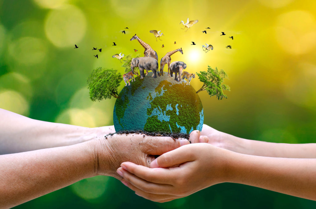 Bảo tồn động vật